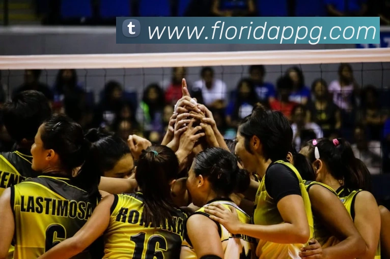 pg官网服务体系